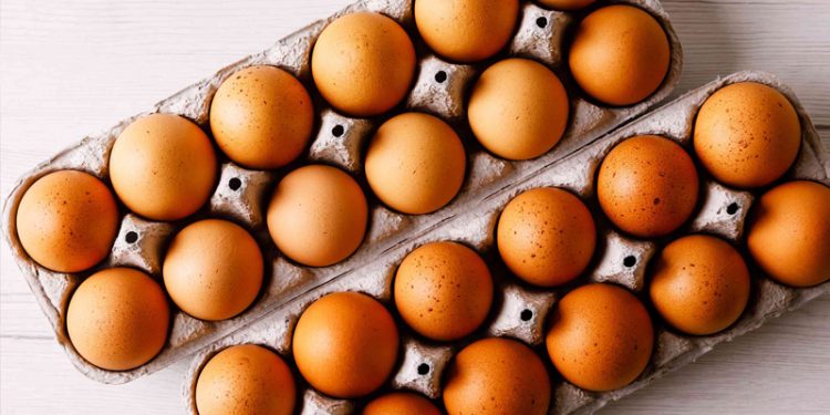 "Yumurtayı 38 liraya mal edip 28 liraya satıyoruz"