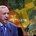 Yunanistan Müslümanları, Erdoğan hükûmetinin gayri resmî faaliyetlerinden rahatsız
