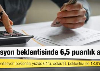 Yıl sonu enflasyon beklentisi yüzde 64’ü, dolar/TL beklentisi ise 18,8’i aştı