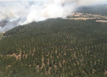 Çanakkale'de tarladaki yangın ormana sıçradı