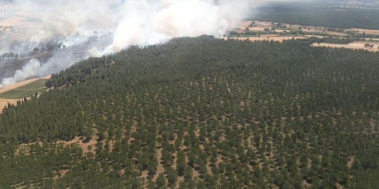 Çanakkale'de tarladaki yangın ormana sıçradı