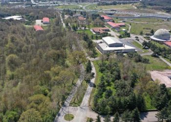 Çekmeköy Kışlası’nda talanın önü açılmıştı; ağaç katliamı başladı!