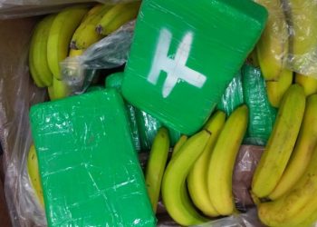 Çekya’da muz sevkiyatında 840 kilogram kokain ele geçirdi