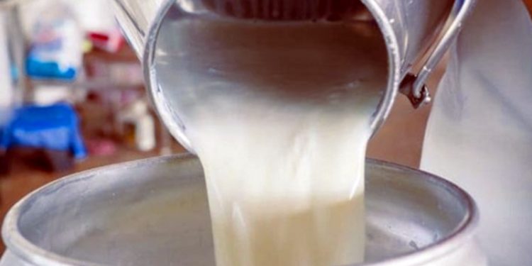 Çiğ süt zammı sonrası, markalı süt ürünlerinde yüzde 40 artış