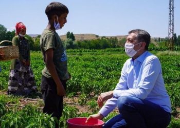 Çocuk İşçiliğiyle Mücadele Günü raporu: Son 9 yılda 571 çocuk çalışırken öldü