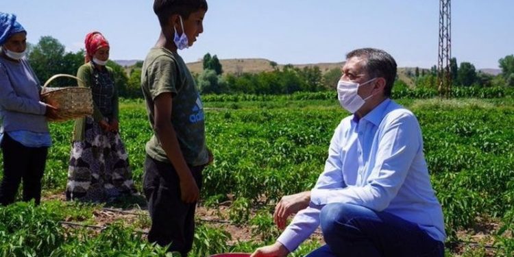 Çocuk İşçiliğiyle Mücadele Günü raporu: Son 9 yılda 571 çocuk çalışırken öldü