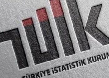 Ölüm sessizliği: TÜİK'ten şüphe çeken bir erteleme daha geldi