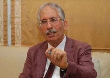 Özer Sencar: Sonbaharda baskın seçim olacak