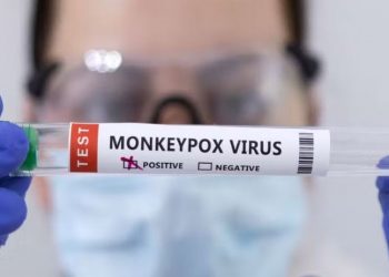 İngiltere: Maymun çiçeği hastalığı insandan insana bulaşıyor