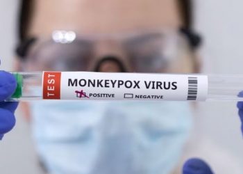 İngiltere'de 104 maymun çiçeği vakası daha tespit edildi