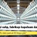 İplik üreticileri zorda: Eylül ayında 24 TL olan pamuk 63 liraya çıktı