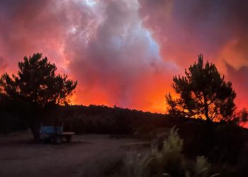 İspanya alev alev: Orman yangınları giderek artıyor