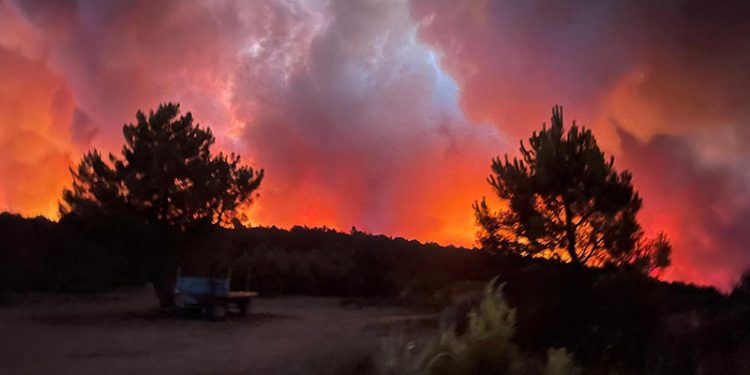 İspanya alev alev: Orman yangınları giderek artıyor