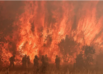 İspanya'da aşırı sıcaklar orman yangınlarını tetikledi