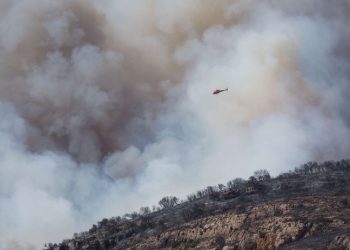 İspanya'nın kuzeyinde 25 bin hektar yeşil alan kül oldu