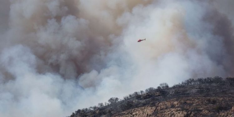 İspanya'nın kuzeyinde 25 bin hektar yeşil alan kül oldu