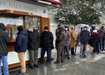 İstanbul Halk Ekmek, İstanbullu çiftçilerden buğday alacak