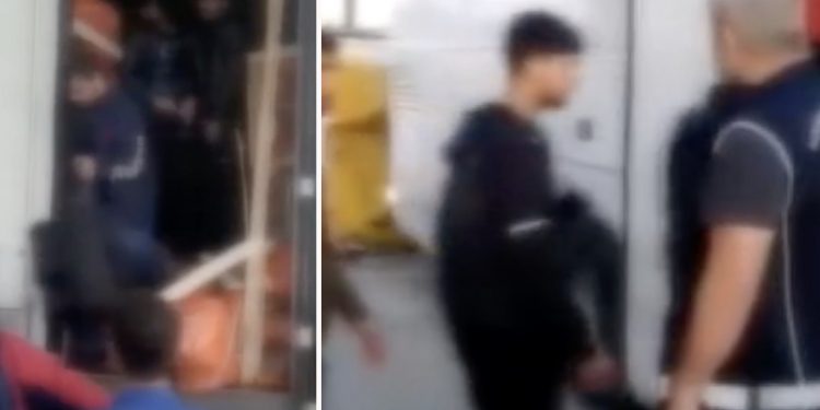 İstanbul'da TIR dorsesinde 81 göçmen yakalandı