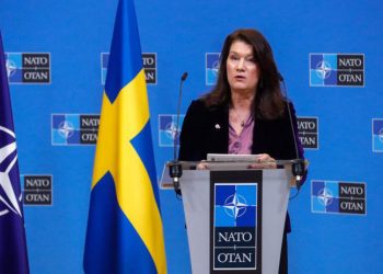 İsveç Dışişleri Bakanı Linde eleştirilere cevap verdi: Erdoğan’a boyun eğmedik