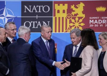 İsveç Solu, Türkiye’yle imzalanan mutabakata tepkili