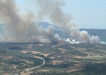 İzmir'de üst üste iki yangın çıktı