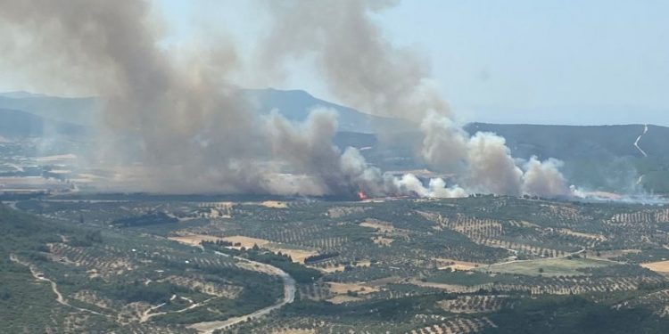 İzmir'de üst üste iki yangın çıktı