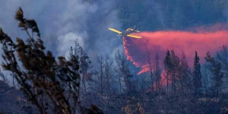 İçişleri Bakanı Soylu'dan Marmaris yangını açıklaması: Gözaltındaki kişi suçunu itiraf etti