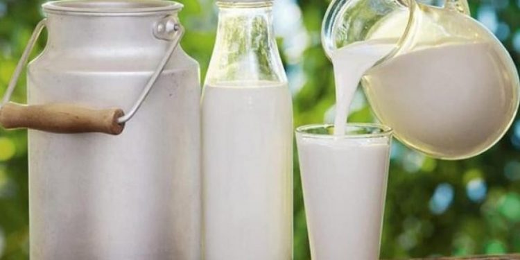 İçme sütü üretimi azaldı