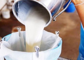 İçme sütü üretimi yüzde 9,3 geriledi