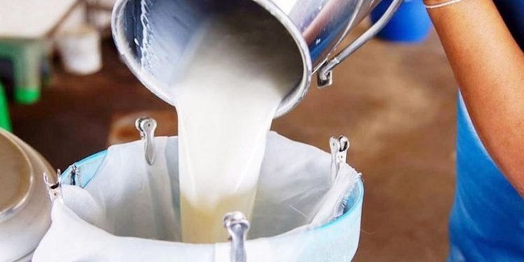 İçme sütü üretimi yüzde 9,3 geriledi