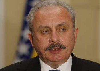 Şentop, DBP'li Aydeniz için "Milletvekilinin dokunulmazlığı kaldırılmalı" dedi