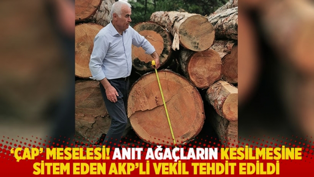 'Çap' meselesi! Anıt ağaçların kesilmesine sitem eden AKP’li vekil tehdit edildi