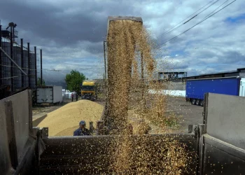 BM: “Tahıl İhracatı Birkaç Gün İçinde Başlamalı” 
