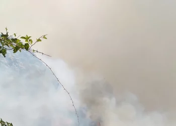 Türkiye’de ‘Yangın Söndürme Uçağı’ Tartışması