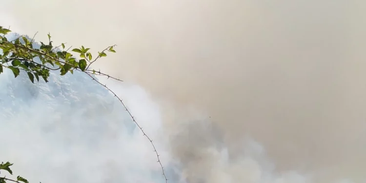 Türkiye’de ‘Yangın Söndürme Uçağı’ Tartışması