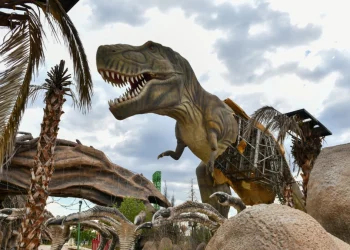 “Ankapark’ın Geleceğine Halk Karar Verecek”