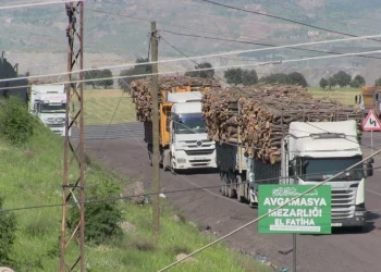 Şırnak’ta Ağaç Kesimi Tepkisi