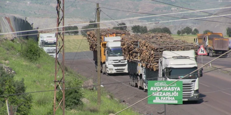 Şırnak’ta Ağaç Kesimi Tepkisi