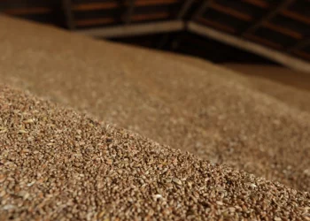 Tahıl Krizi Zirvesi İstanbul’da Yapılacak