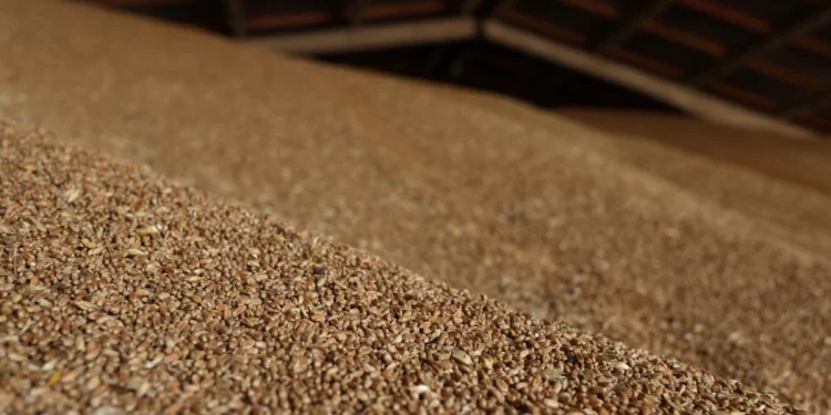 Tahıl Krizi Zirvesi İstanbul’da Yapılacak