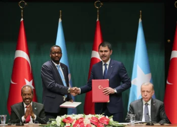 Türkiye-Somali İlişkileri Nasıl Yorumlanıyor?