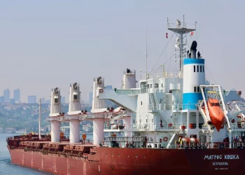 “Ukrayna Türkiye’den Rus Gemileriyle İlgili Kanıt İstedi”