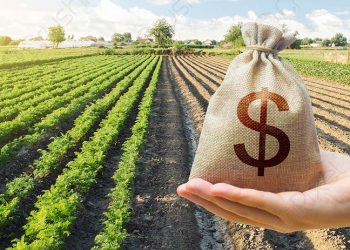 20 yılda 86 kat arttı: Çiftçinin bankalara borcu 200 milyar lirayı geçti