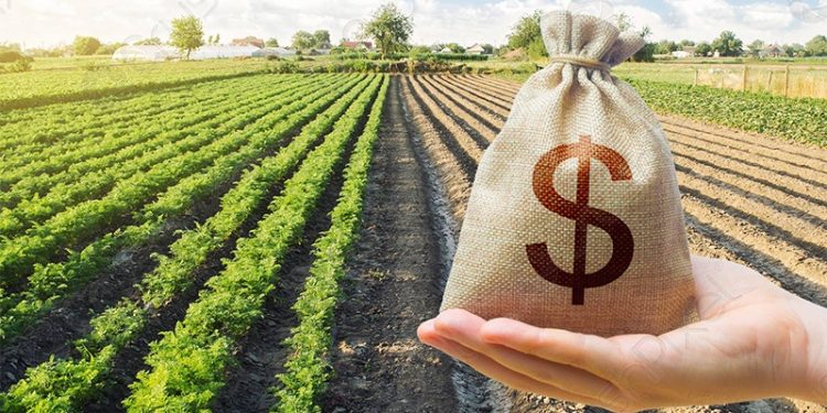 20 yılda 86 kat arttı: Çiftçinin bankalara borcu 200 milyar lirayı geçti