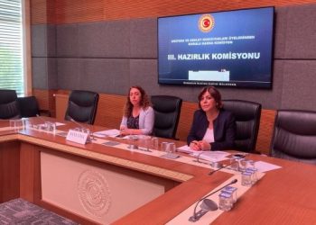 Aydeniz’in şiddet uyguladığı iddia edilen polis, Soylu’nun açıklamasından sonra rapor almış!