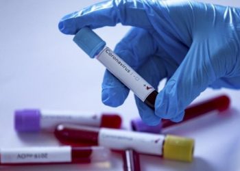 Dr. Öztoprak: Vakalarda yoğun artış var