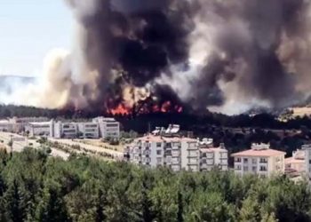 Antep’te orman yangını
