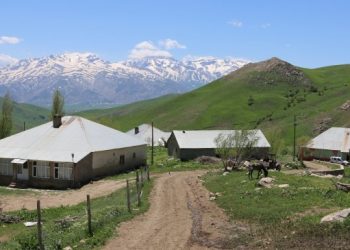 Yüksekova’da aynı aileden 6 kişi gözaltında