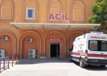 Arazisine koyun sürüsü giren kişi, 3 kişiyi yaraladı