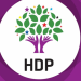 HDP: Bu cinayetlerin sorumlusu şiddet iklimi yaratan iktidardır